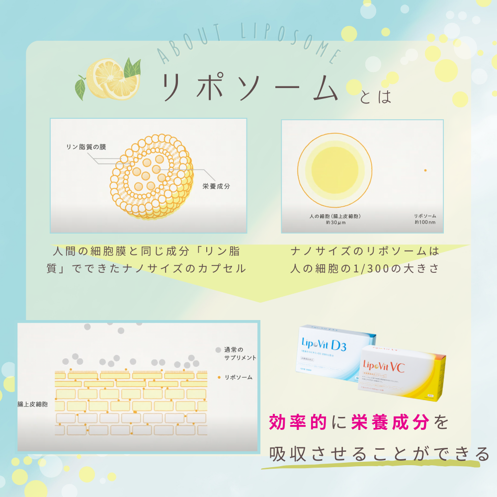リポビット D3（LipoVit D3) 60粒入