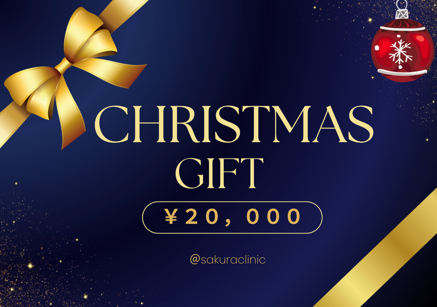 クリスマスセット脂性肌向け20,000円