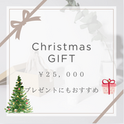クリスマスセット脂性肌向け25,000円