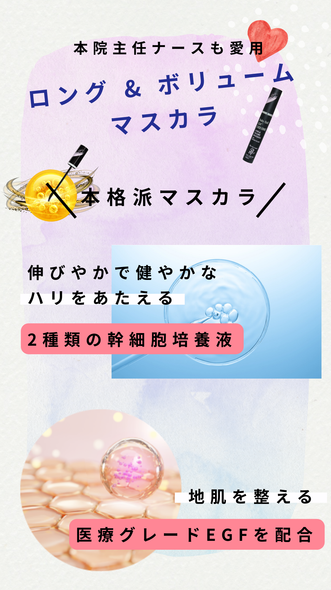 2種類の幹細胞培養液と医療グレードのEGFを配合