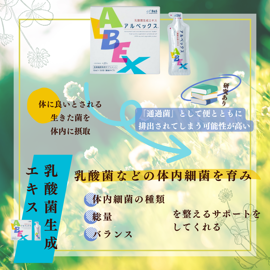 アルベックス 乳酸菌生成エキス 300ml(10ml×30包)|16種乳酸菌由来 アルベックス 乳酸菌生成エキス 300ml(10ml×30包)|16種乳酸菌由来